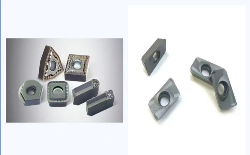 微信圖片_20250211095304 微信圖片_20250211095304